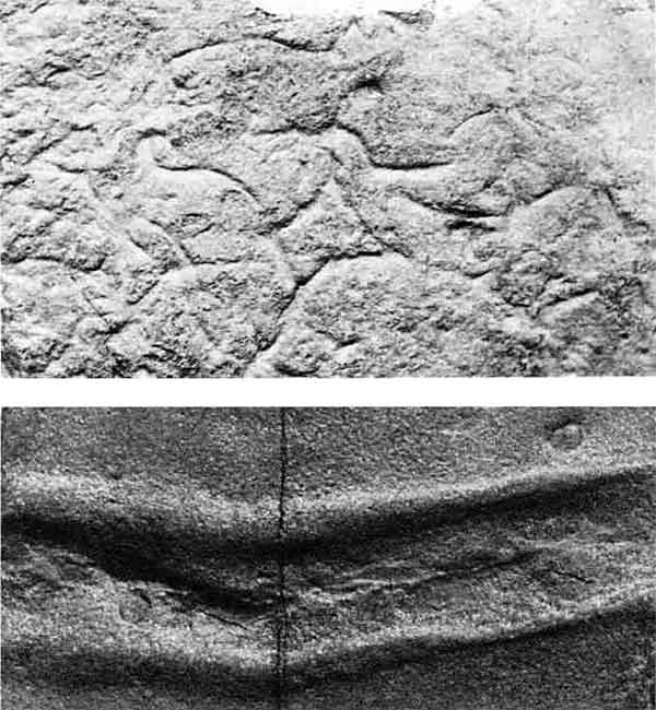 ФОССИЛИЗИРОВАННЫЕ СЛЕДЫ