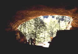 Vindija cave