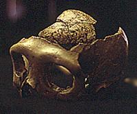 ----------------------------------------