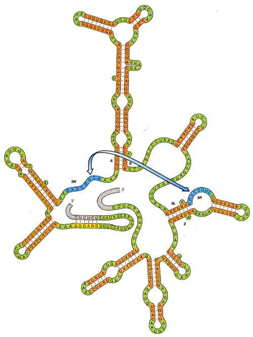 ПРОСТРАНСТВЕННАЯ СТРУКТУРА
