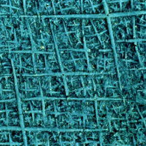 Остатки кембрийской губки (хорошо видны отдельные, правильно расположенные спикулы)